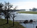 2011-01-17, Pillnitz (28)